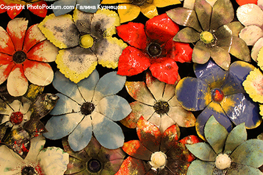 Maple, Maple Leaf, Plant, Blossom, Flora, Flower, Collage