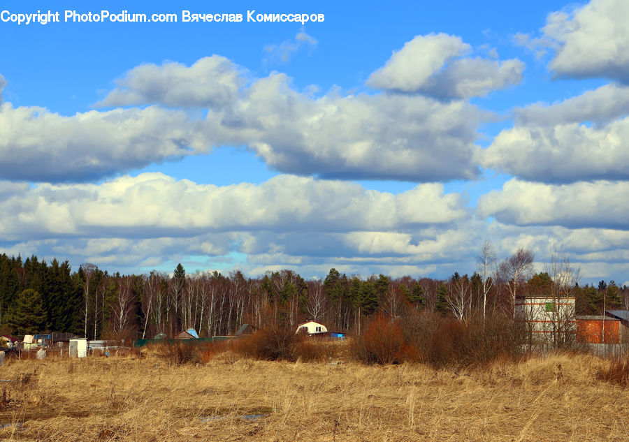 Field, Grass, Grassland, Land, Outdoors, Countryside, Harvest