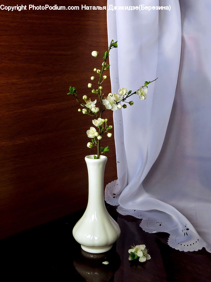 Flower Arrangement, Ikebana, Plant, Potted Plant, Vase, Jar, Porcelain