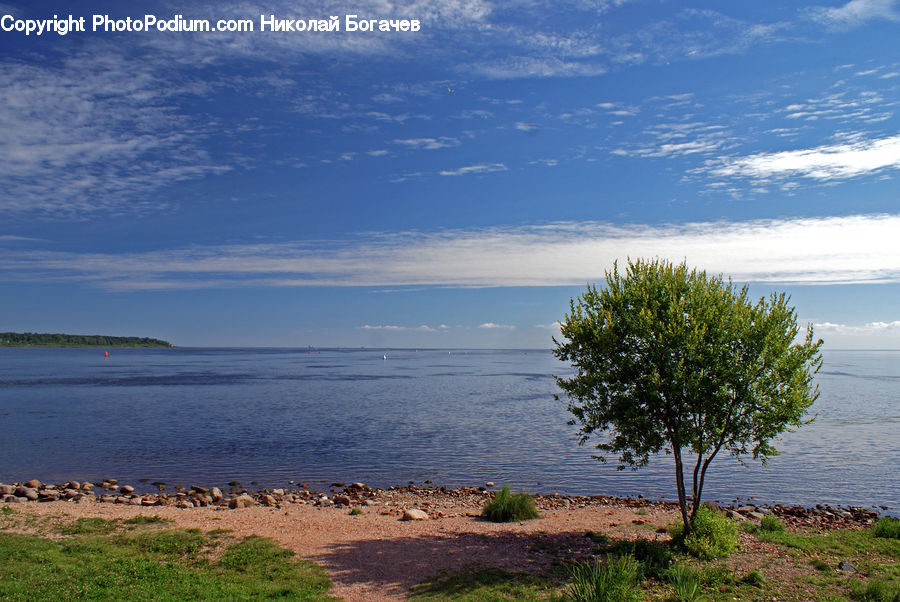 Beach, Coast, Outdoors, Sea, Water, Landscape, Nature