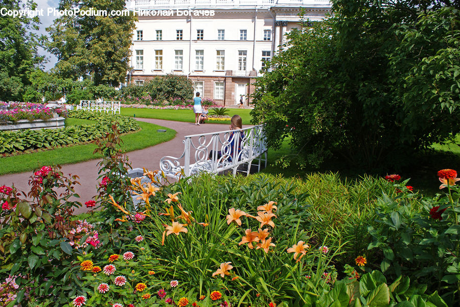 Garden, Blossom, Flora, Flower, Plant, Building, Housing
