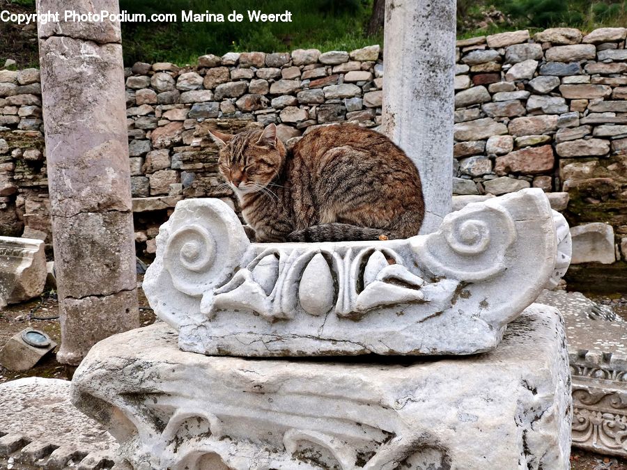 Art, Sculpture, Statue, Animal, Adorable, Fountain, Water