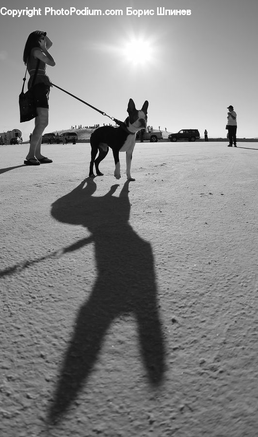 Human, People, Person, Leisure Activities, Walking, Female, Animal