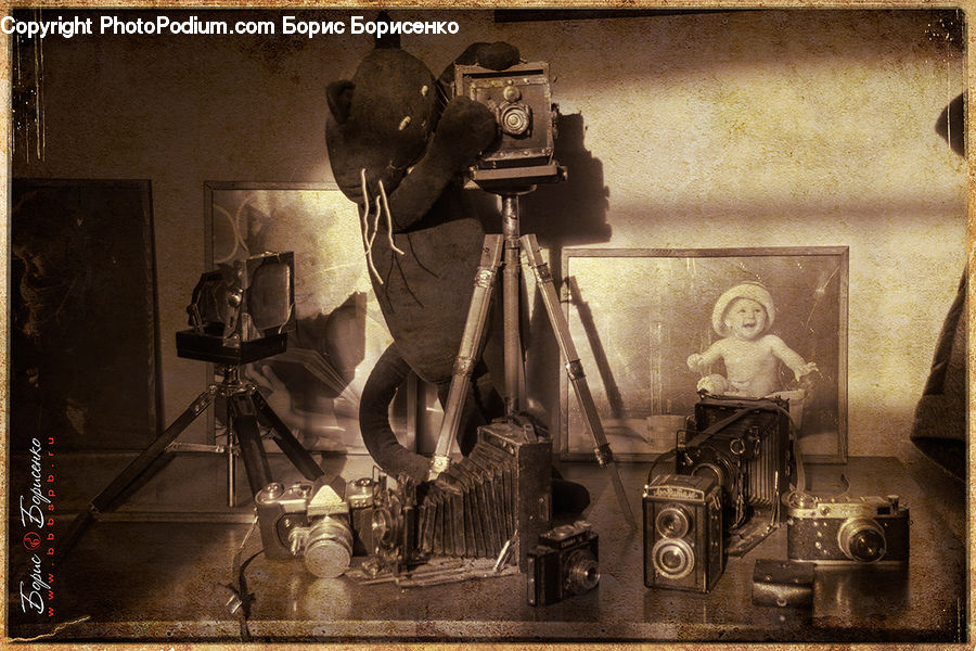 Tripod, Art, Sculpture, Statue, Boutique, Shop, Window Display