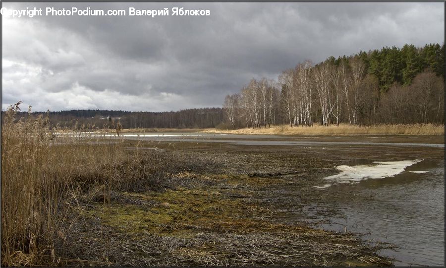 Land, Marsh, Pond, Swamp, Water, Dirt Road, Gravel
