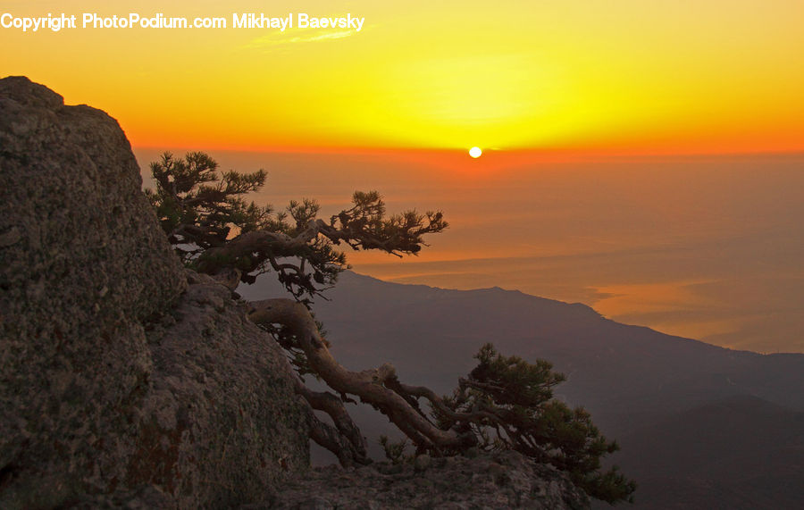 Dawn, Dusk, Sky, Sunrise, Sunset, Plant, Tree