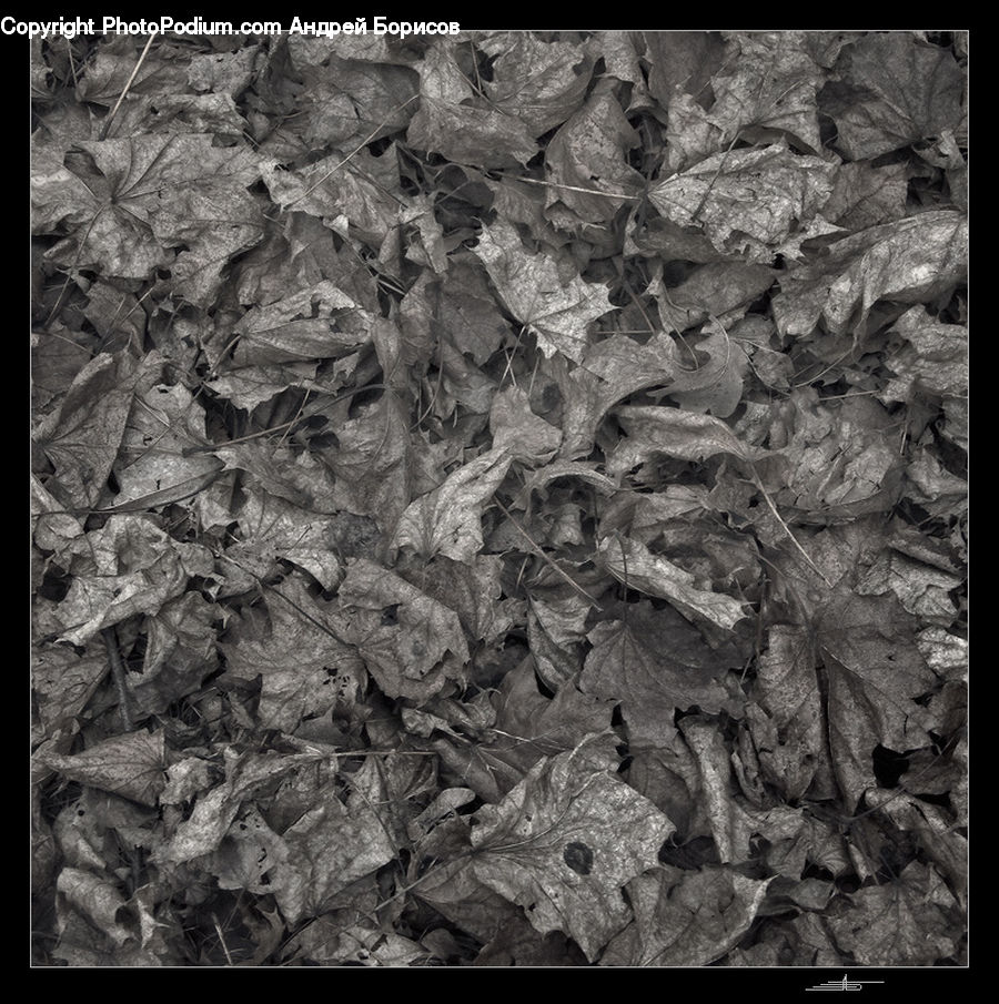 Ground, Soil, Paper