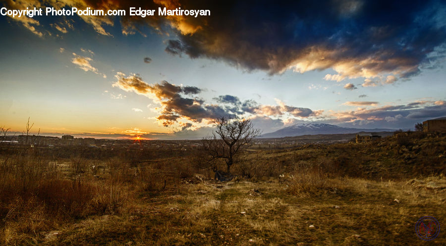 Field, Grass, Grassland, Land, Outdoors, Dirt Road, Gravel