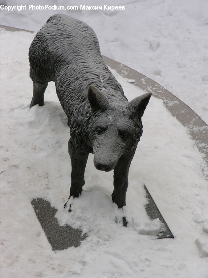 Animal, Boar, Hog, Mammal, Pig