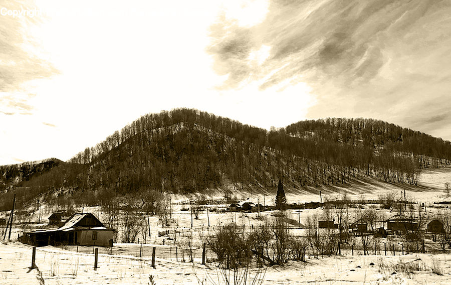 Building, Hut, Shelter, Countryside, Field, Rural, Cabin