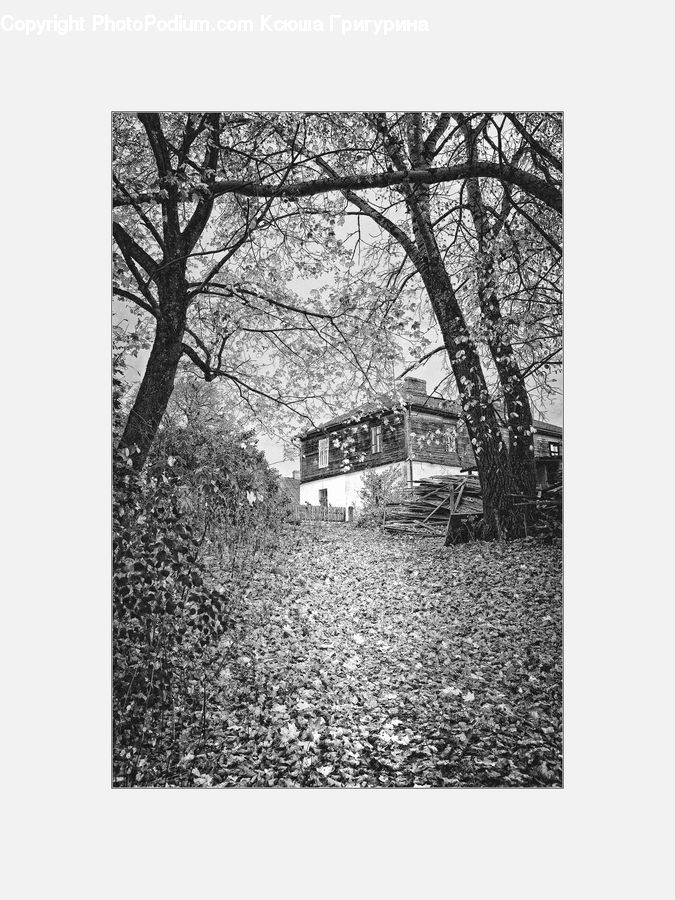 Collage, Poster, Building, Cottage, Housing, Diagram, Plan