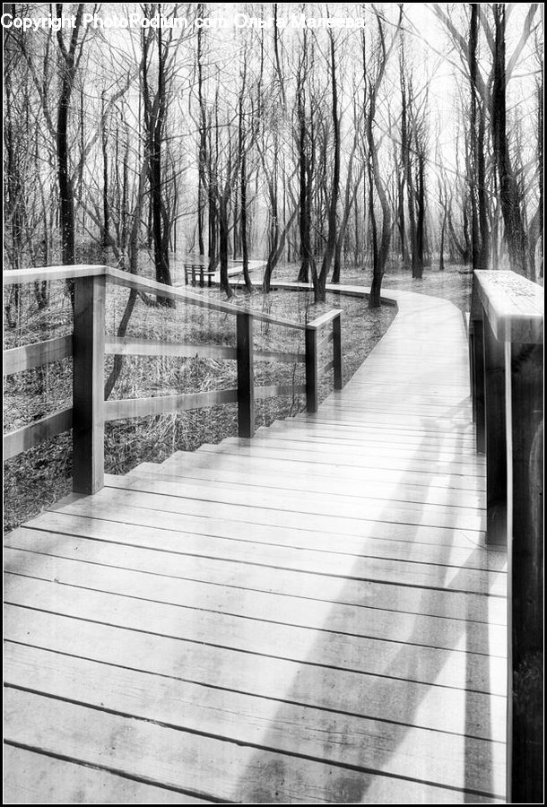 Boardwalk, Deck, Path, Sidewalk, Walkway, Park, Outdoors