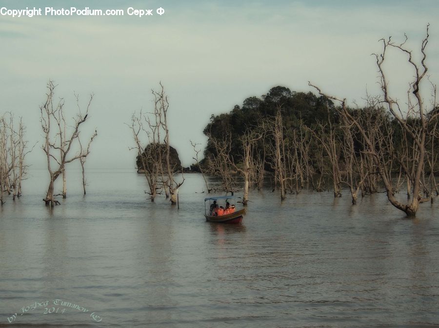 Flood, Bonsai, Plant, Potted Plant, Tree, Land, Marsh
