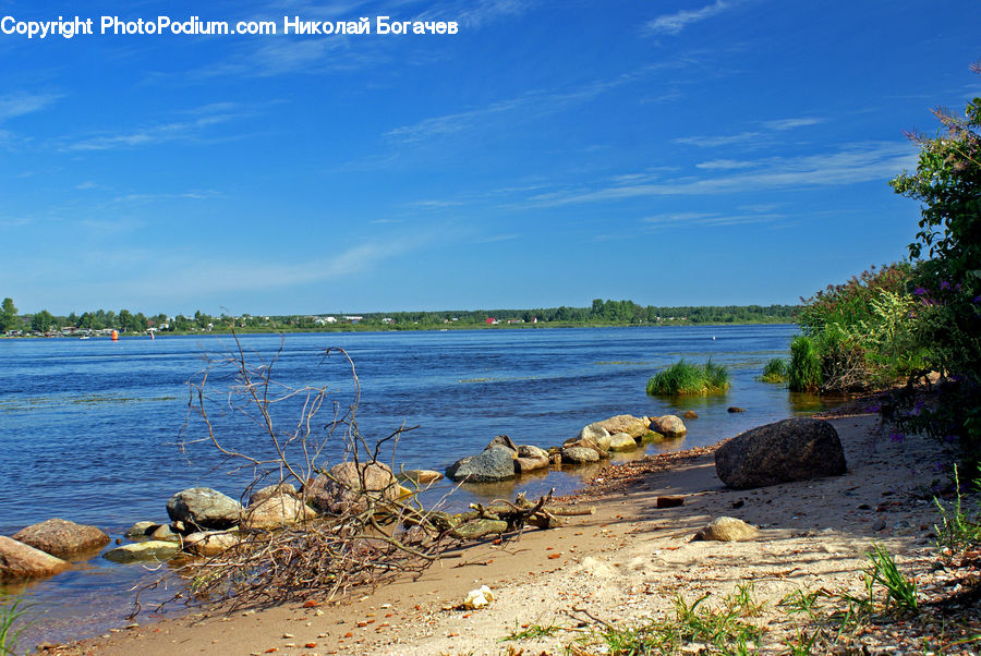 Rock, Coast, Outdoors, Sea, Water, Beach, Forest