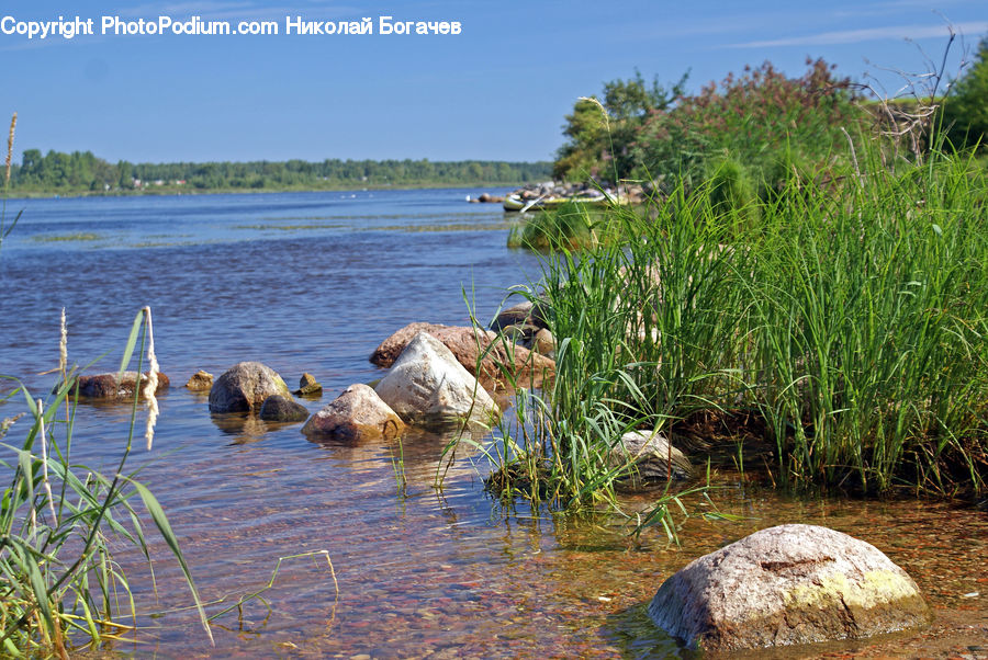 Rock, Coast, Outdoors, Sea, Water, Land, Marsh