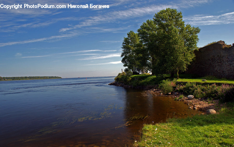 Landscape, Nature, Scenery, Lake, Outdoors, Water, Conifer