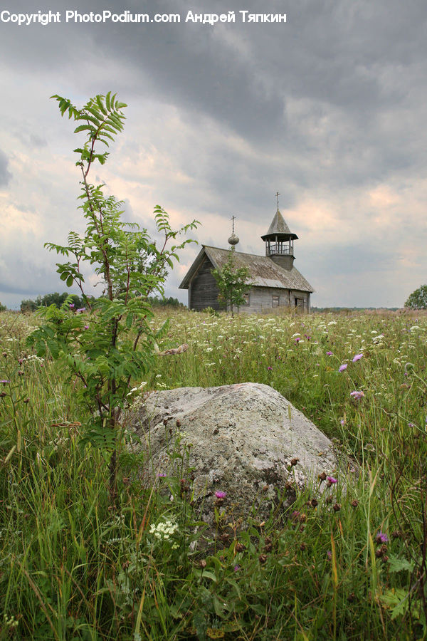 Building, Cottage, Housing, Architecture, Bell Tower, Clock Tower, Tower