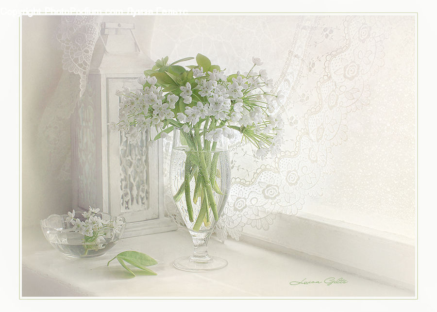 Jar, Porcelain, Vase, Blossom, Flower, Lilac, Plant
