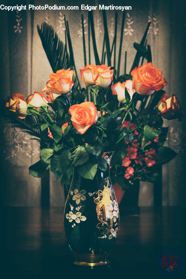 People, Person, Floral Design, Flower, Flower Arrangement, Flower Bouquet, Ikebana