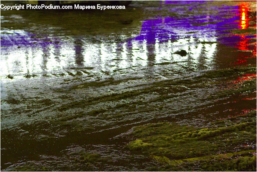 Outdoors, Ripple, Water, Land, Marsh, Pond, Swamp