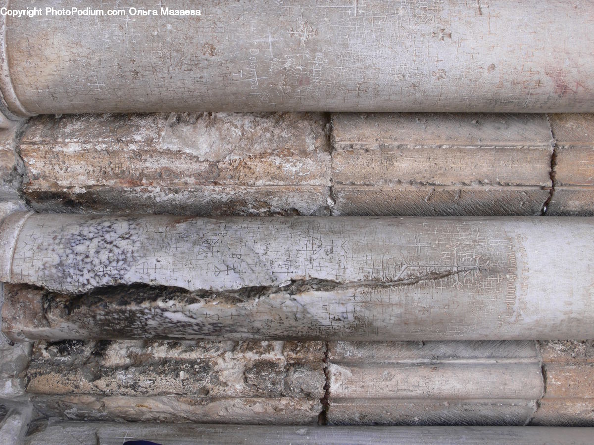 Column, Pillar, Birch, Tree, Wood