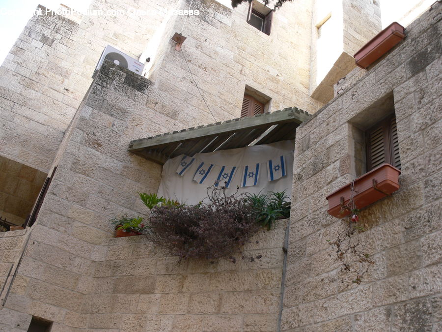 Plant, Potted Plant, Plywood, Wood, Architecture, Bell Tower, Clock Tower