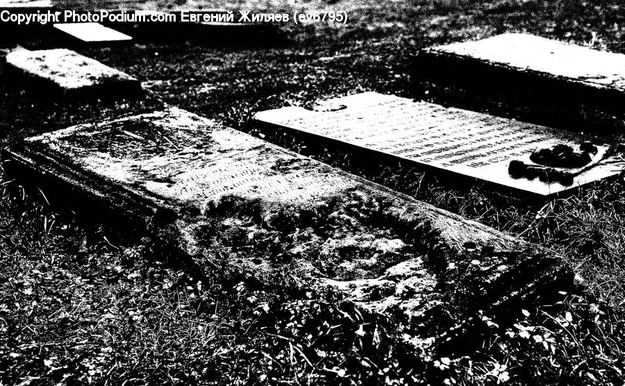 Bench, Asphalt, Tarmac, Ice, Outdoors, Snow, Soil