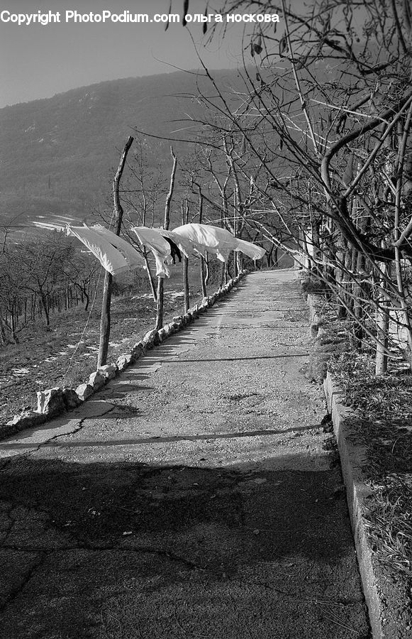 Boardwalk, Deck, Path, Sidewalk, Walkway, Pipeline, Trail