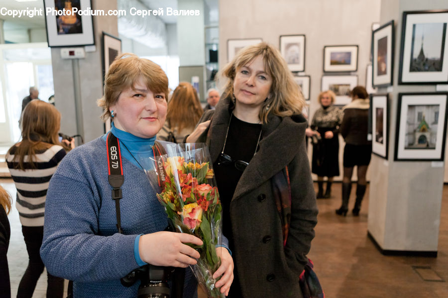 Human, People, Person, Art, Art Gallery, Plant, Potted Plant