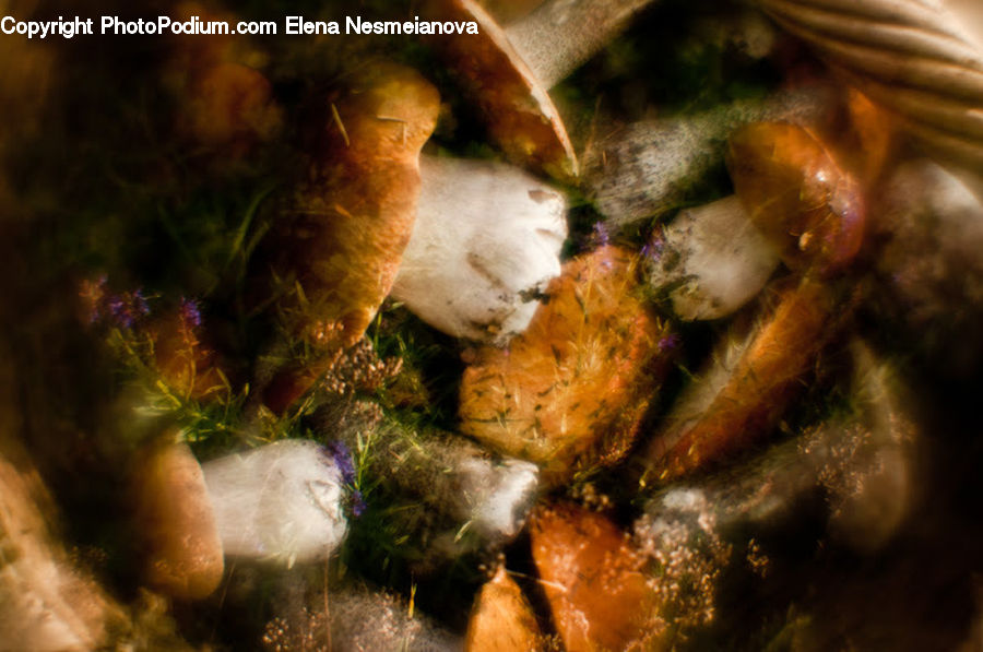 Astronomy, Nebula, Outer Space, Space, Universe, Art, Moss