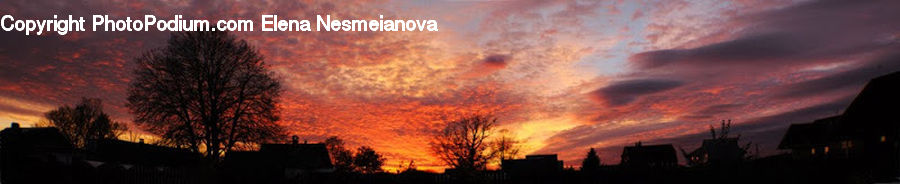 Dusk, Outdoors, Sky, Sunlight, Sunrise, Sunset, Silhouette