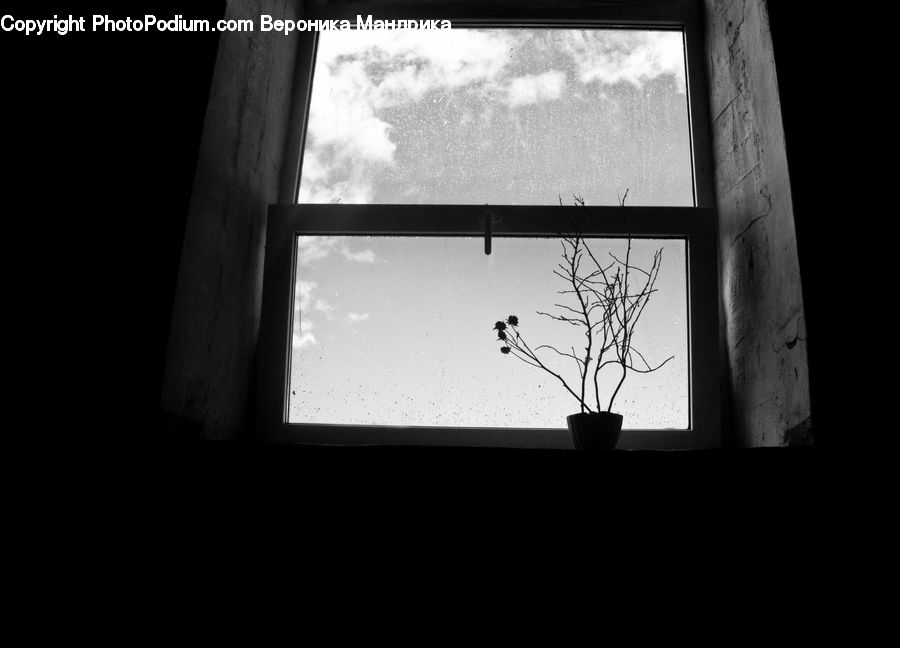Architecture, Housing, Skylight, Window, Silhouette