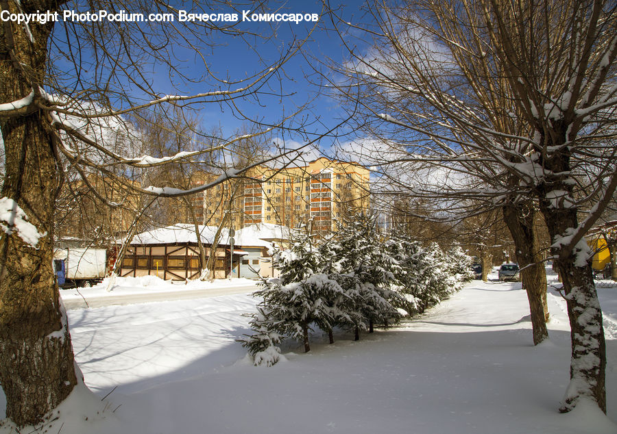 Ice, Outdoors, Snow, Building, Cabin, Shelter, Plant