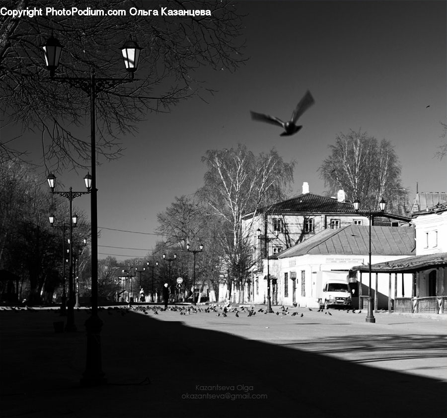 Night, Outdoors, Downtown, Neighborhood, Town, Intersection, Road