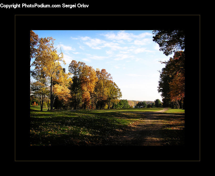 Field, Grass, Grassland, Land, Outdoors, Dirt Road, Gravel