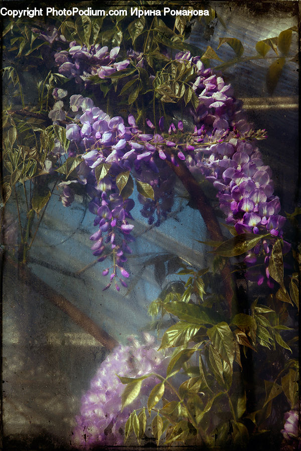 Ivy, Plant, Vine, Amethyst, Crystal, Gemstone, Art