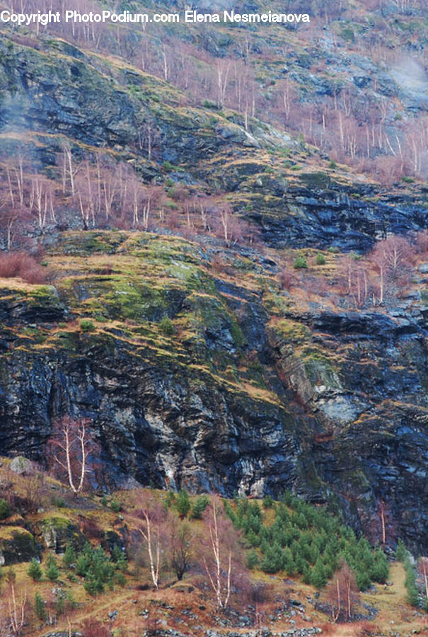 Landslide, Canyon, Outdoors, Valley, Aerial View, Wilderness, Plant