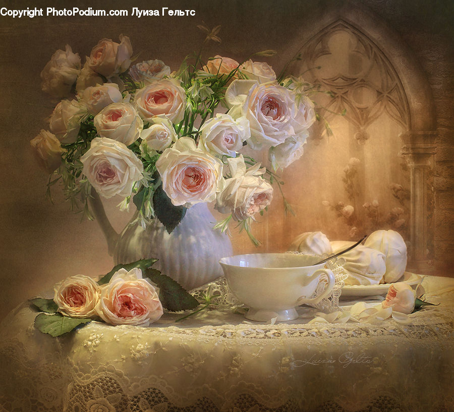 People, Person, Human, Blossom, Flower, Plant, Rose