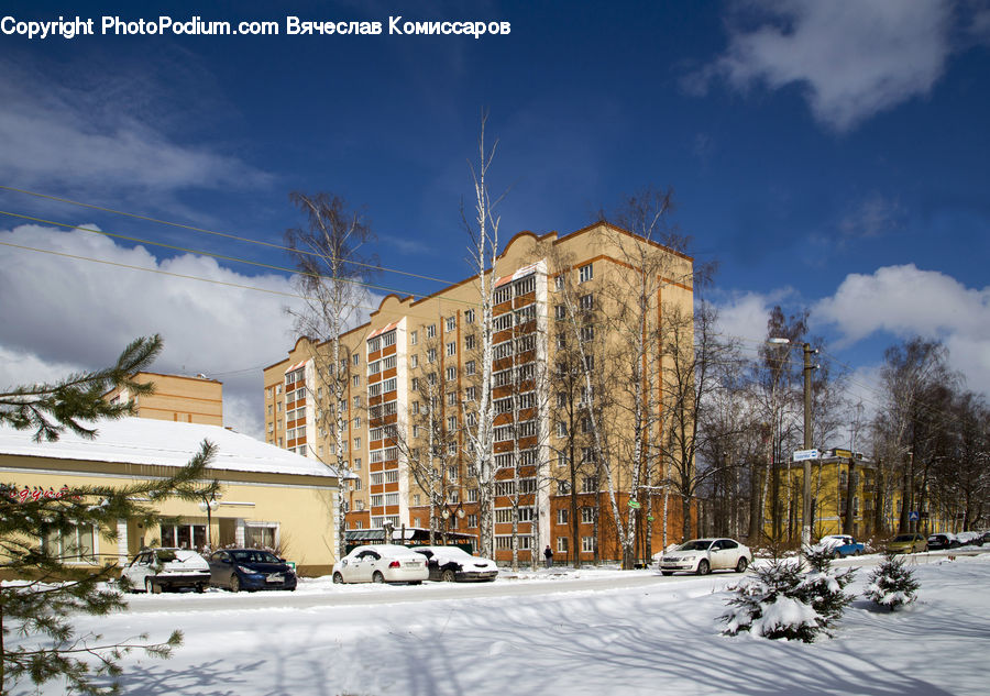 Building, Housing, Apartment Building, High Rise, Villa, Palm Tree, Plant