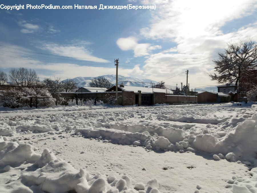 Ice, Outdoors, Snow, Sand, Soil, Frost, Plant