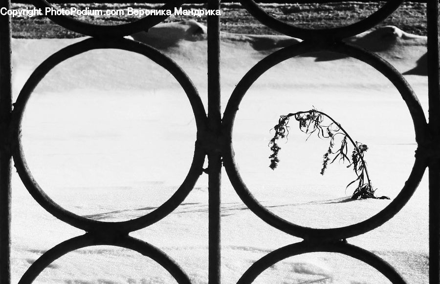 Glasses, Goggles, Arabesque Pattern, Paper, Silhouette