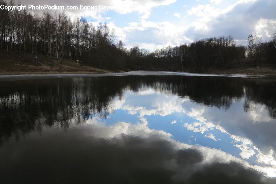 Lake, Outdoors, Water, Forest, Vegetation, Field, Grass