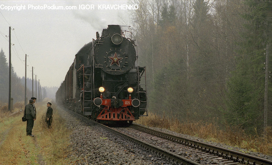 Train, Vehicle, Rail, Train Track, Locomotive, Transportation, Freight Car