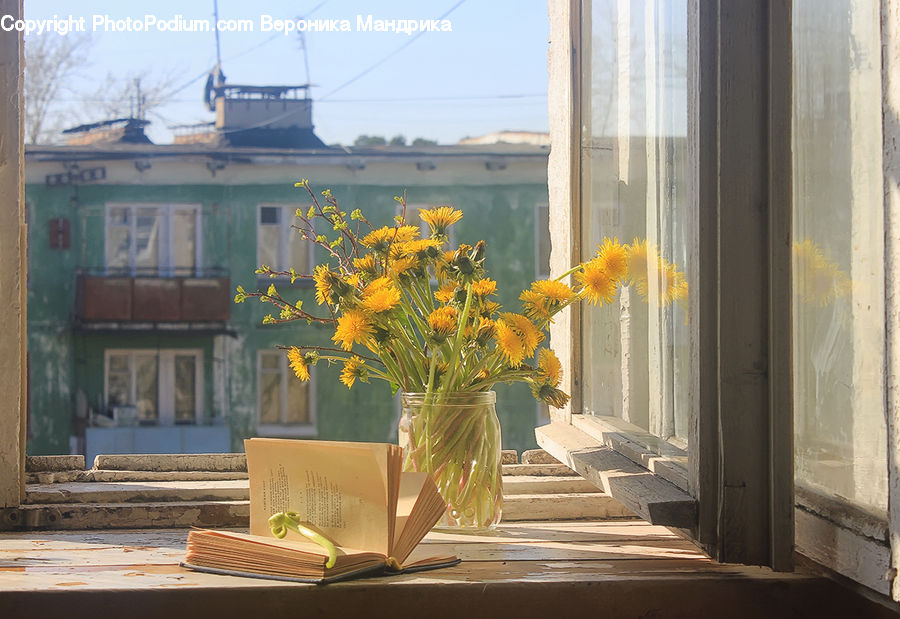 Plant, Potted Plant, Jar, Porcelain, Vase, Brick, Flower