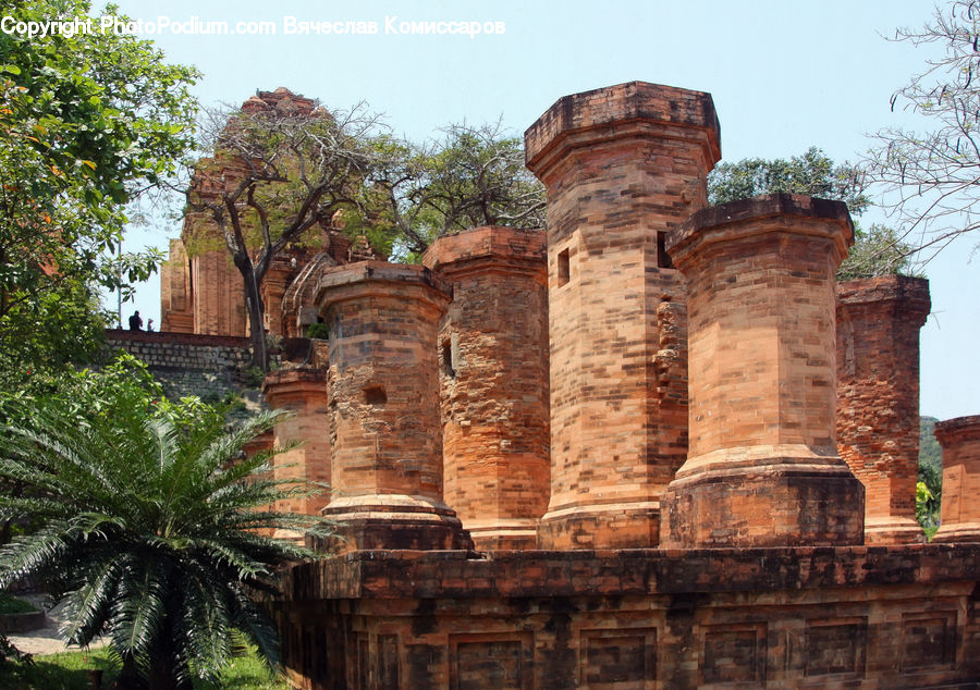 Brick, Castle, Fort, Ruins, Fern, Plant, Arecaceae