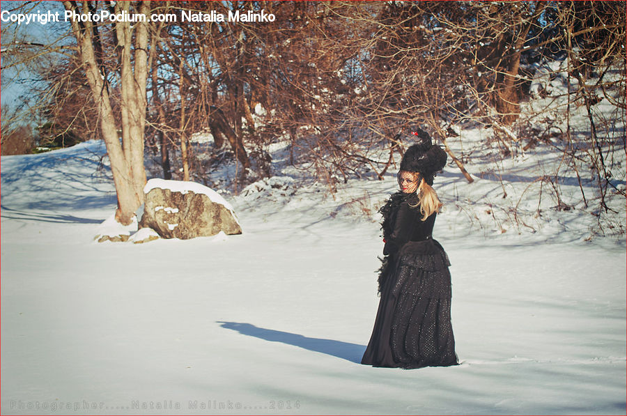 People, Person, Human, Female, Fir, Forest, Grove