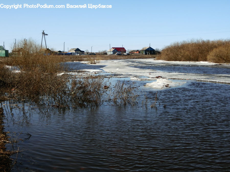 Land, Marsh, Pond, Swamp, Water, Plant, Vegetation