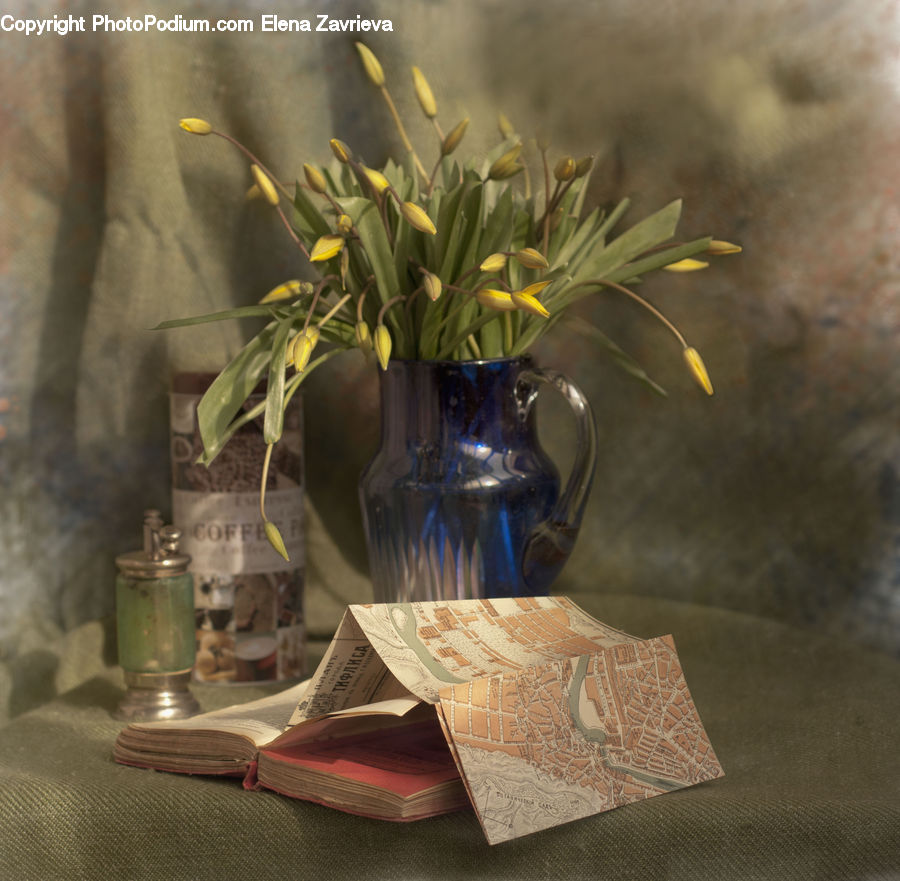 Plant, Potted Plant, Glass, Goblet, Pot, Pottery, Flower Arrangement