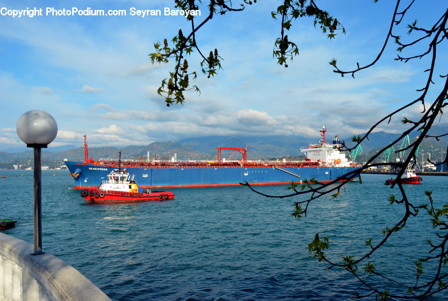Freighter, Ship, Tanker, Vessel, Ferry, Barge, Boat