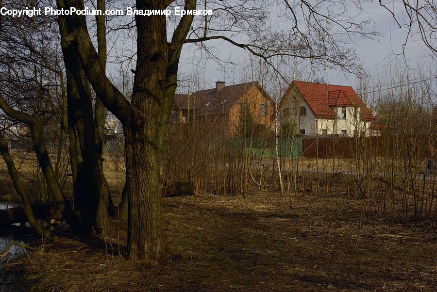 Countryside, Field, Rural, Building, Cottage, Housing, Cabin